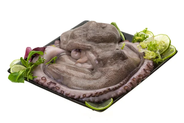 Raw large octopus — Stock Photo, Image