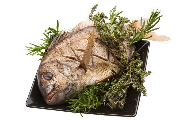 Grilled sea perch — Stock Photo, Image
