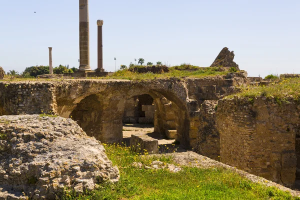 Old Carthage ruins — Stock Photo, Image