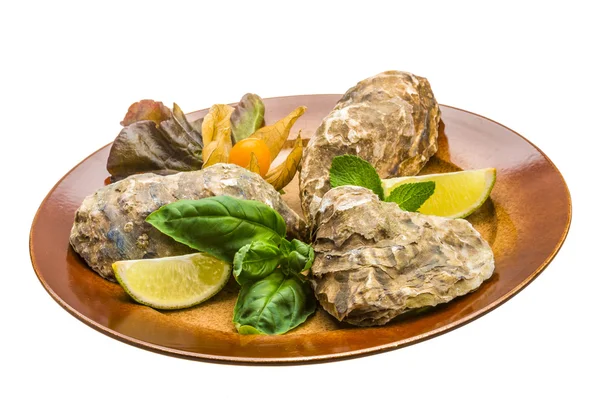 Fresh oyster — Stock Photo, Image