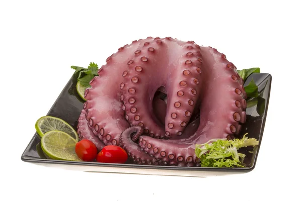 Grote gekookte octopus — Stockfoto