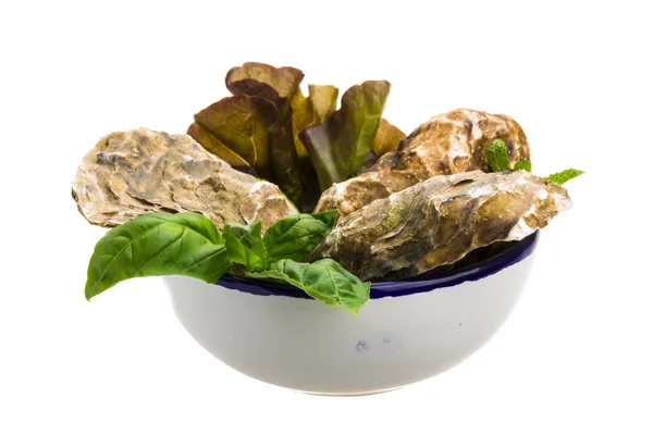 Fresh oyster — Stock Photo, Image