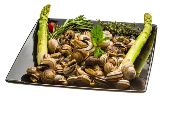 Escargot met asperges, rozemarijn, zwezerik en tomaat — Stockfoto