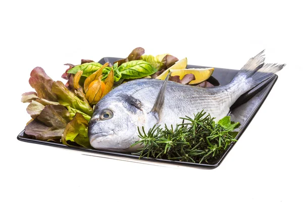 Fresh raw dorada — Stock Photo, Image