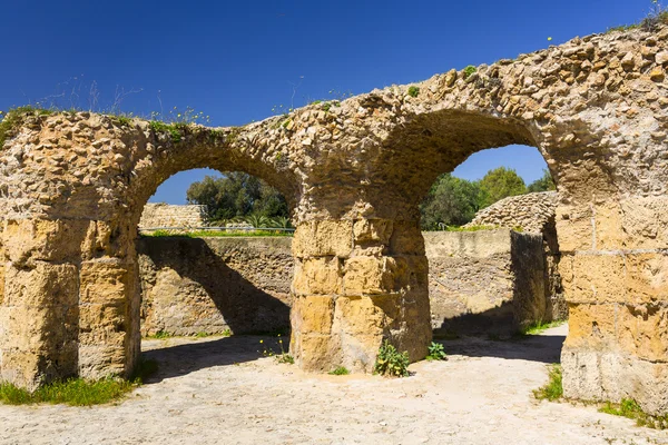 Old Carthage ruins — Stock Photo, Image