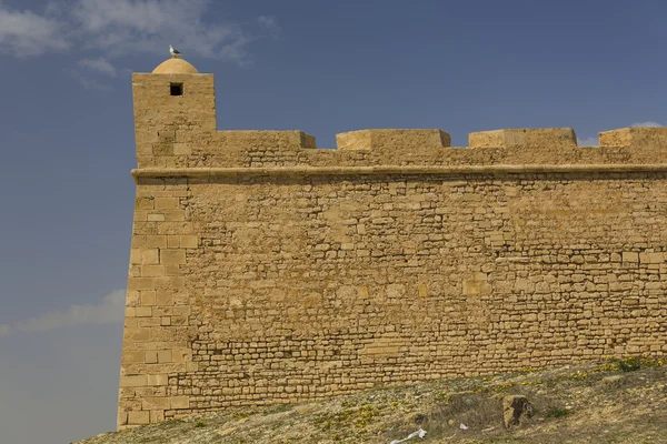 Ruine de la vieille forteresse à Mahdia Tunis — Photo