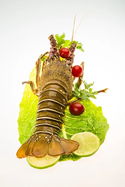 Raw spiny lobsters — Stock Photo, Image