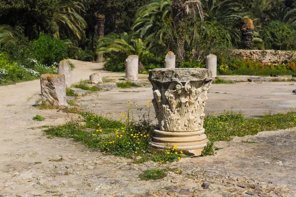 옛 카르타고 유적 — 스톡 사진