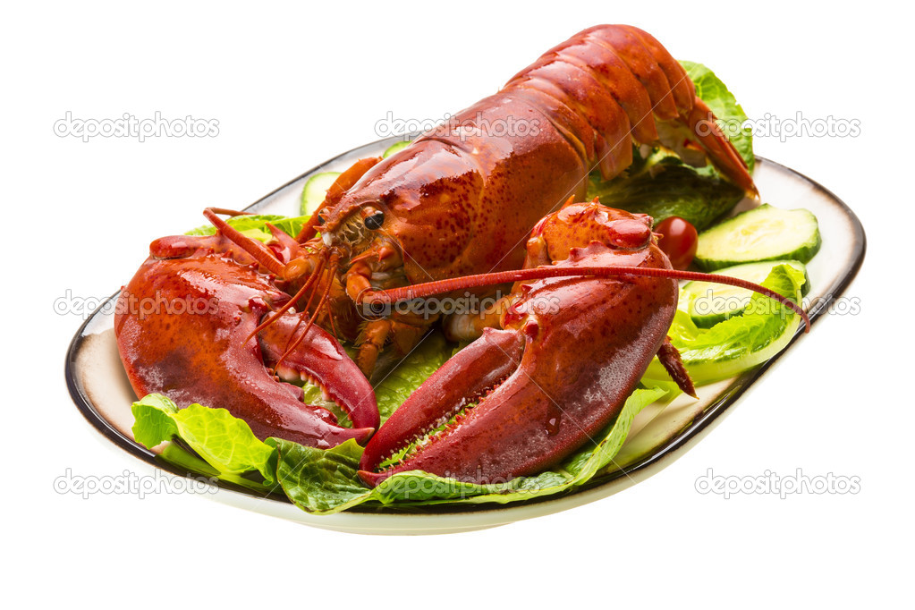 Large Lobster