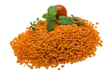Kırmızı mercimek