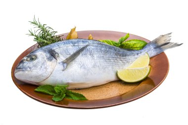 taze çiğ dorada