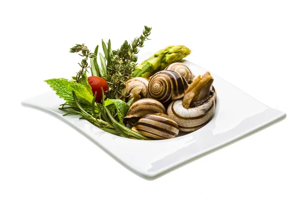 Escargot com espargos, alecrim, timo e tomate — Fotografia de Stock