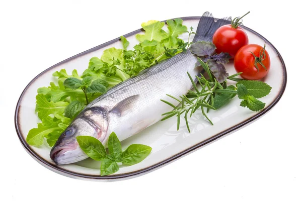 Raw seabass — Stock Photo, Image