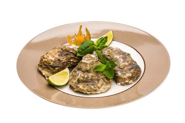 Fresh oyster — Stock Photo, Image