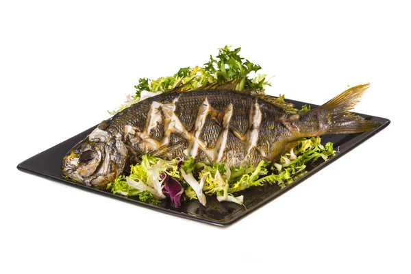 Salema porgy - gestreepte vissen — Stockfoto