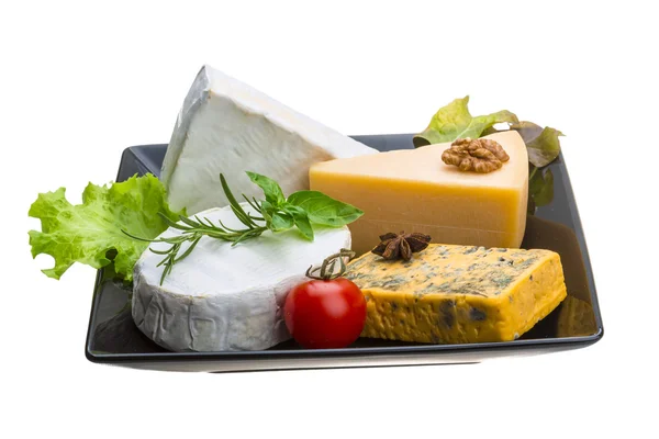 Variety cheese assortment — Stock Photo, Image