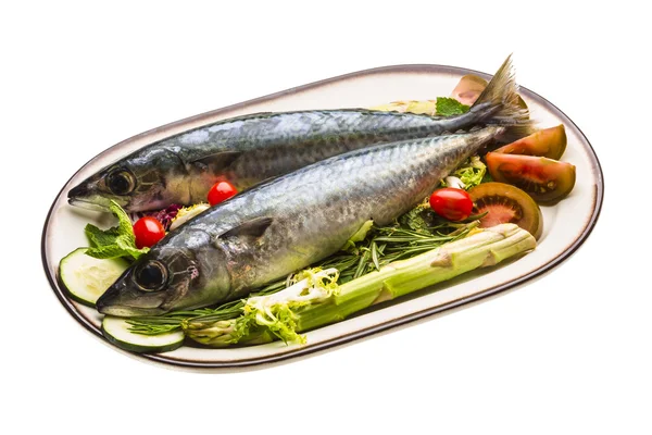 Atlantické sardinky syrové — Stock fotografie