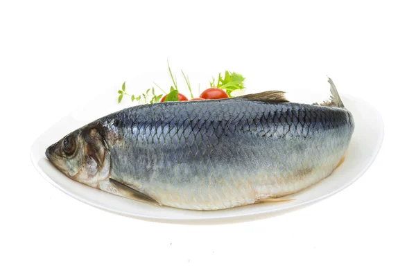 Marinated herring with herbs — Stock Photo, Image