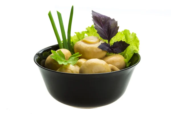 Rijp verse champignon — Stockfoto