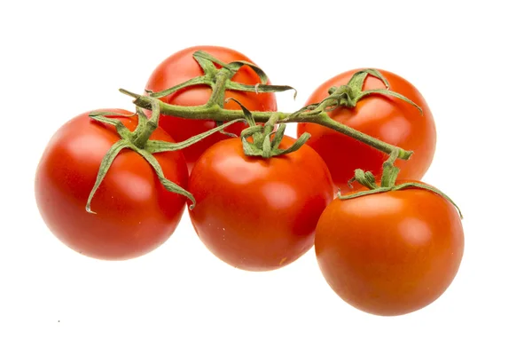 Rote reife Tomaten auf dem Zweig — Stockfoto