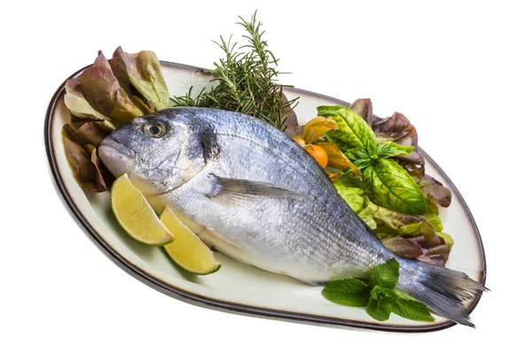 Fresh raw dorada — Stock Photo, Image