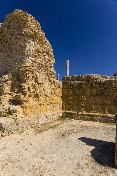 Old Carthage ruins — Stock Photo, Image