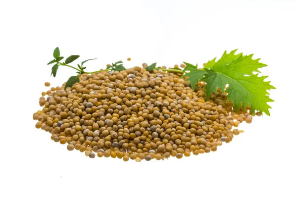 Mustard seeds — Stock Photo, Image