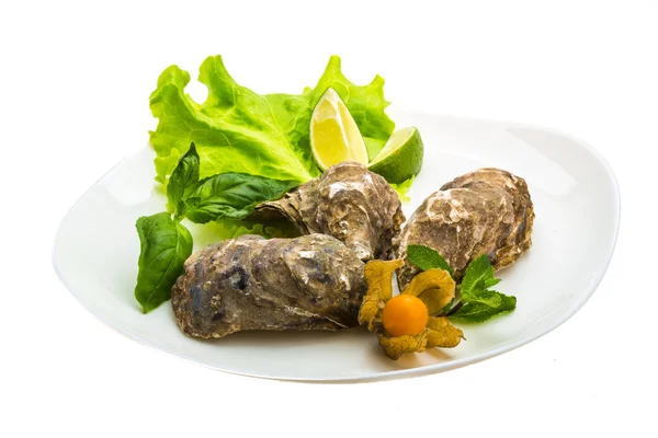 Fresh oyster — Stock Photo, Image