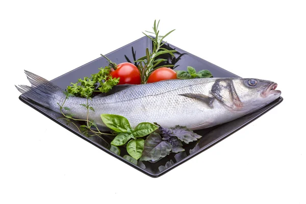 Raw seabass — Stock Photo, Image