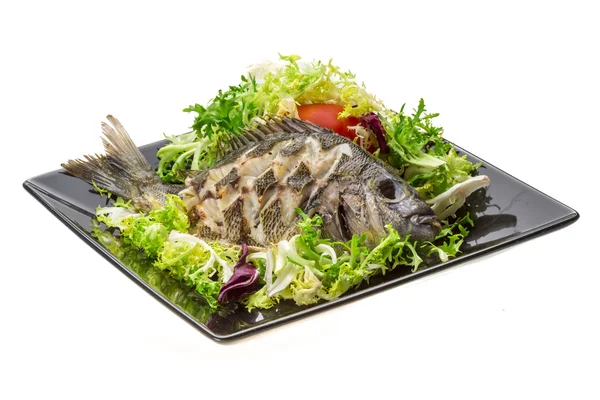 Gegrillter Tilapia mit Salat — Stockfoto