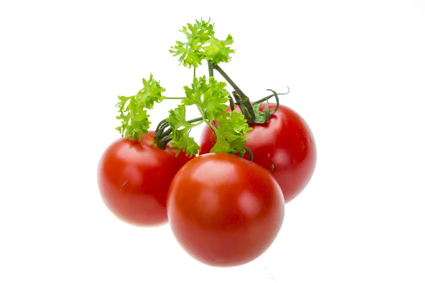 Tomato branch with parsley — Stock Image Tomato branch with parsley Stock Photo