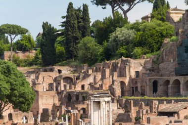 Bina kalıntıları ve antik sütunlar, Roma, İtalya