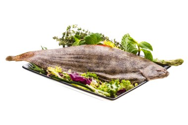 dil balığı balık