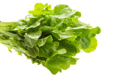 salata yaprakları