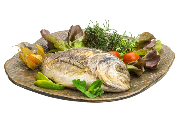 Dorado grilled — Stock Photo, Image