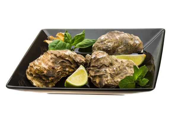 Fresh oyster — Stock Photo, Image