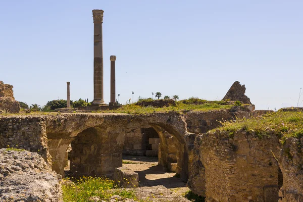 Vecchie rovine di Cartagine — Foto Stock