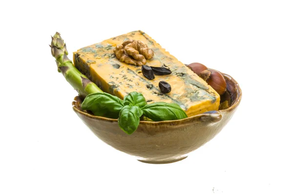 Guld ost med mögel — Stockfoto