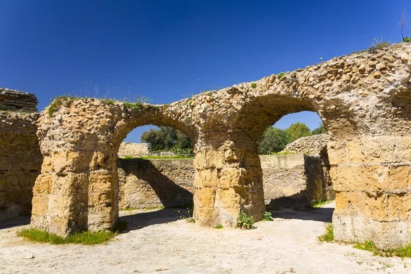 Old Carthage ruins — Stock Photo, Image