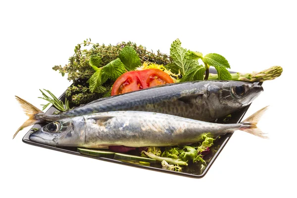 Atlantic raw sardine — Stock Photo, Image