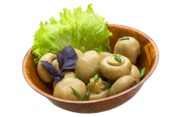 Reifer frischer Champignon — Stockfoto