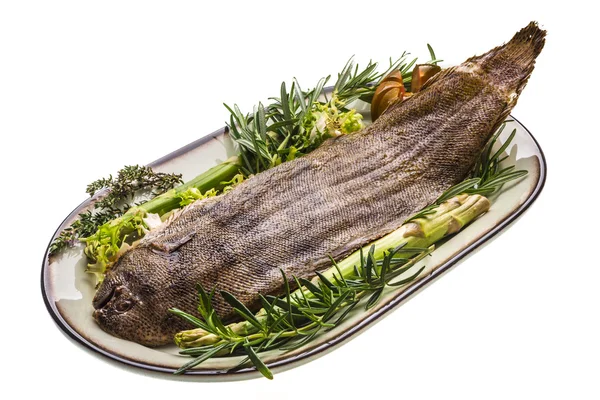 Fish Dover sole roasted — Stock Photo, Image