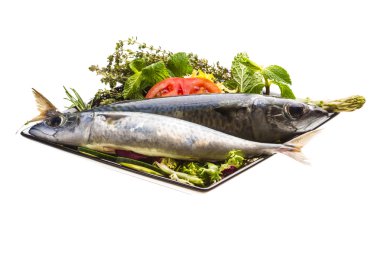 Atlantik ham sardalya