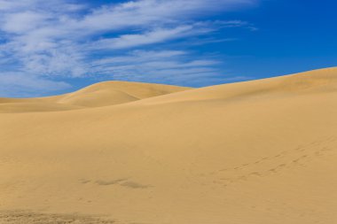 Maspalomas Duna - Kanarya adası Büyük Kanarya Çölü