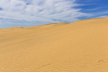 Maspalomas Duna - Kanarya adası Büyük Kanarya Çölü