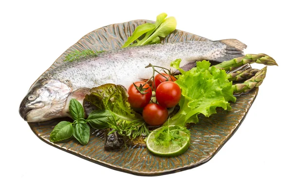 Fresh raw rainbow trout — Stock Photo, Image