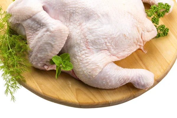 Pollo non coccolato — Foto Stock
