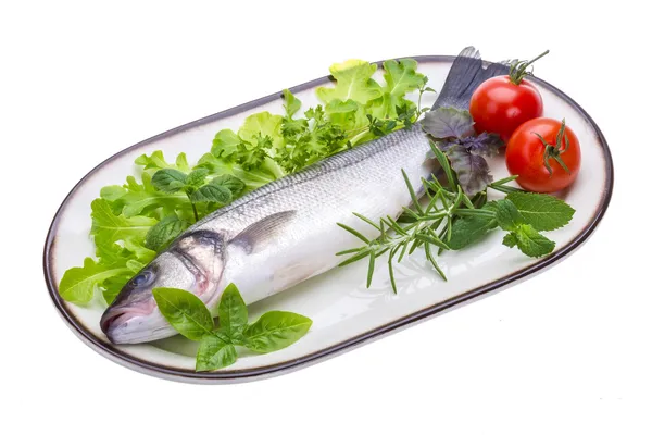 Raw seabass — Stock Photo, Image