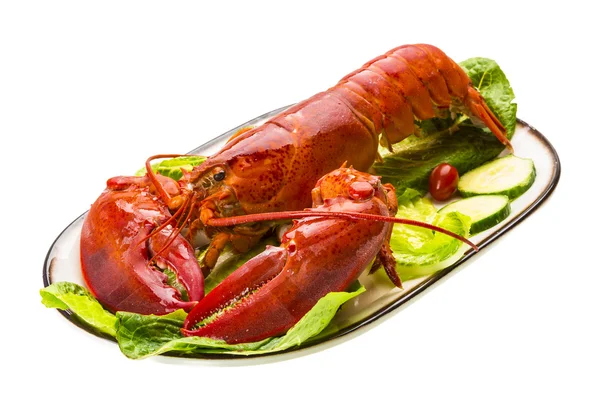 Grand homard — Photo