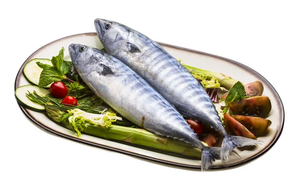 Färska atlanticmackerel — Stockfoto